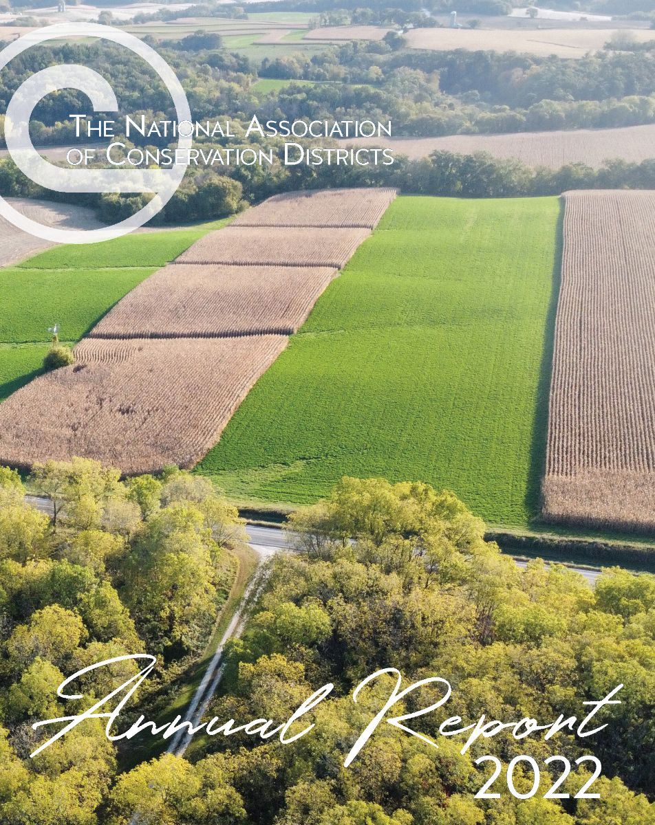 cover of NACD Annual Report 2022