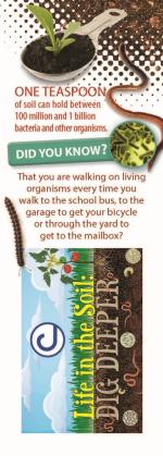 Product Description: This is a high resolution (2 MB) PDF file for local printing. Great product for your schools, libraries and community outreach efforts around the topic of soil and its importance.</br></br>Link to the PDF file will be sent to the customer. To purchase printed 2019 Stewardship materials please visit the Goetz Printing storefront to “print-on-demand” high-quality materials.</br> 2019 Bookmark - "Life in the Soil: Dig Deeper"