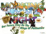 Product Description: This is ahigh resolution (18.3MB)PDF file for local printing.Link to the PDF file will be sent to the customer.To purchase printed 2019 Stewardship materials please visit theGoetz Printing storefrontto “print-on-demand” high-quality materials. Pollinators are important—morning, noon and night! They are important to the food we eat and the clothes we wear. Great for classrooms, offices and locations to showcase the importance of pollinators.SIZE: 24" x 32"</br> 2020 Poster