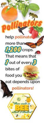 Product Description: This is ahigh resolution (1.10MB)PDF file for local printing. Great product for your schools, libraries and community outreach efforts around the topic of pollinators and their importance.</br></br>Link to the PDF file will be sent to the customer.To purchase printed 2020Stewardship materials please visit theGoetz Printing storefrontto “print-on-demand” high-quality materials.</br> 2020 Bookmark