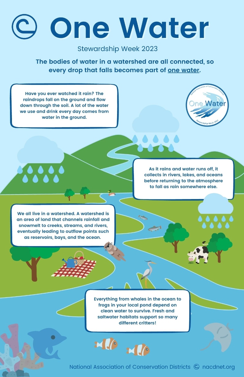 Product Description: This is a816 KB PDF file for local printing. After the order is placed, the link to the PDF file will be sent to the customer. To purchase printed 2023Stewardship materials please visit theGoetz Printing storefrontto “print-on-demand” high-quality materials. Colorful design,great for classrooms, offices and locations to showcase the importance of water and watersheds.Poster showcases how it is all "one water" and how health of the watershed can have an impact on a wide range of living creatures.SIZE: 11" x 17"</br> 2023 Poster