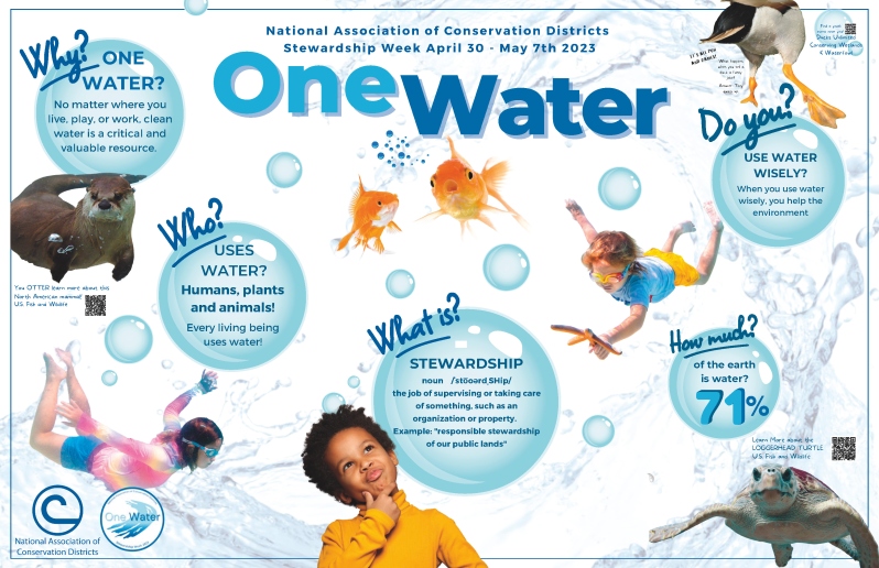 Product Description: Great community outreach product for schools, local restaurants, senior centers, annual meetings, and more. It serves as a placemat or as an activity sheet for intermediate level learning (Grades 3-5). Twosided at 9 x 13. Fun activities based on the topic of water and watersheds.</br></br>This is a PDF file for digital use and personal printing. After the order is placed, the link to the PDF file will be sent to the customer. To purchase printed 2023 Stewardship materials please visit the Goetz Printing storefront to “print-on-demand” high-quality materials.</br> One Water Placemat/Activity Sheet (Intermediate)