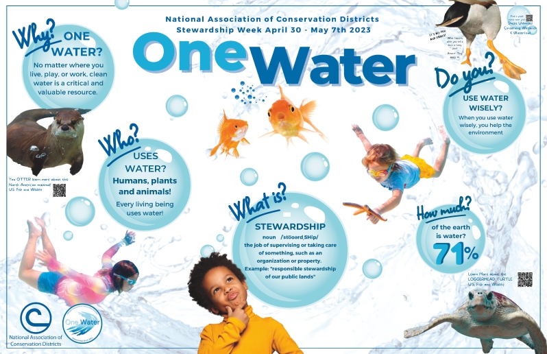 One Water Placemat/Activity Sheet (Intermediate)
