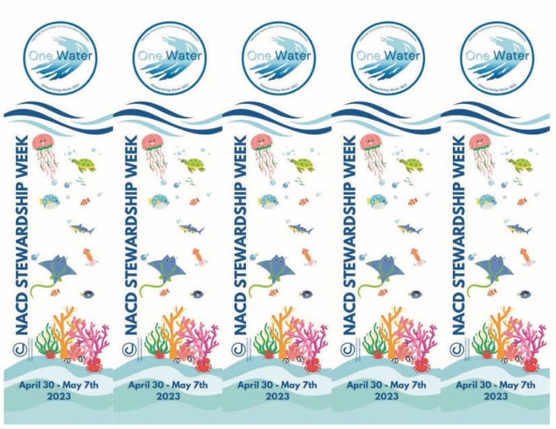 Product Description: This year's primary level bookmarks organized as 5 to 1 page - perfect for printing on 8.5 x 11 paper.Great product for your schools, libraries and community outreach efforts around the topic of the water cycleand its importance.</br></br>We suggest using a card stock paper if you can.</br></br>This is aPDF file for digital use orlocal printing.After the order is placed, the link to the PDF file will be sent to the customer.To purchase printed 2023Stewardship materials please visit theGoetz Printing storefrontto “print-on-demand” high-quality materials.</br> Primary Level One Water Bookmarks