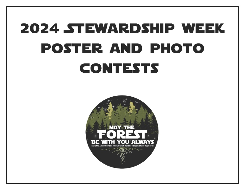 Product Description: 15 Pages -Print Friendly</br></br>Utilize this information to create your district presentation for schools and community events.</br></br>The template is available upon request for district PowerPoint presentations. Email stewardship@nacdnet.org</br> 2024 Contest Information for District Presentation