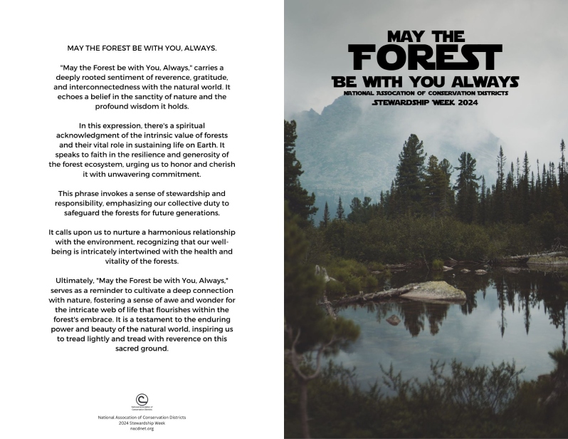 Product Description: For recipients with nacdnet.net email addresses, we kindly request that you addstewardship@nacdnet.orgto your safe senders list to ensure seamless receipt of your download link. Should you be unable to access these settings, please feel free to send an email tostewardship@nacdnet.orgwith the subject line "safe sender," and our team willrespond. This should help correct any email filter issues.</br></br>Planning a community event centered around Stewardship Week? These blank program covers are perfect to adapt to your needs! Designed to be a standard page folded in half, these easy-to-print covers can be used for a variety of purposes. Pick your favorite cover and fill the inside with an event agenda,local forestry or districtinformation, a religious or cultural activity, or anything can think of.</br></br>Filecontains five cover options, including a grayscale option.</br> 2024 Booklet Covers