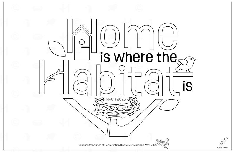 Product Description: Click "more images" and open full screen to see additional photos.</br></br>Explore the fun on the back!</br></br>The Stewardship Week 2025 theme Home is Where the Habitat is logois on the front, and the back is packed with fun! Primary K-2 and Intermediate 3-5 are available.This 11x17-inchactivity mat comes in two options—an ink-friendly "Color Me In" version (this file) or the full color front version found in the 2025 Education Materials Catalog.It features games, puzzles, and a storytelling adventure about habitats, helping kids explore the connections between soil, water, and wildlife. With space for your local district’s label, it’s a great resource for schools, community groups, and district giveaways.</br></br>This is a PDF file for digital use and personal printing. After the order is placed, the link to the PDF file will be sent to the customer. For recipients with nacdnet.net email addresses, we kindly request that you add stewardship@nacdnet.org to your safe senders list to ensure seamless receipt of your download link. Should you be unable to access these settings, please feel free to send an email to stewardship@nacdnet.org with the subject line "safe sender," and our team will respond. This should help correct any email filter issues.</br></br>This poster is perfect to hang and advertise Stewardship Week in your district office, local schools, or at conservation events!</br></br>This file is for download. To order printed copies, see the 2025 Printed Materials Menu.</br> 2025 Color-Me-In Primary Placemat
