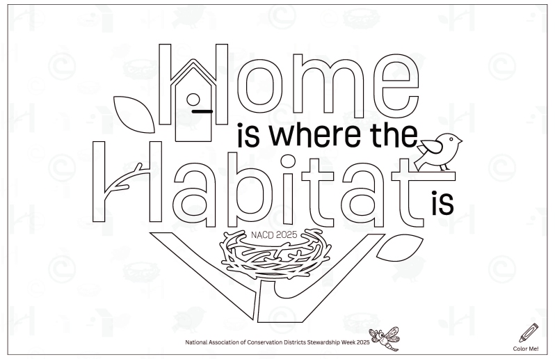 Product Description: Click "more images" and open full screen to see additional photos.Explore the fun on the back!</br></br>TheStewardship Week 2025themeHome is Where the Habitat is logois on the front, and the back is packed with fun! Primary K-2 and Intermediate 3-5 are available.This11x17-inchactivity mat comes intwo options—anink-friendly "Color Me In"version (this file) or the full color front version found in the 2025 Education Materials Catalog.It features games, puzzles, and a storytelling adventure about habitats, helping kids explore the connections between soil, water, and wildlife. With space for your local district’s label, it’s a great resource for schools, community groups, and district giveaways.</br></br>This is a PDF file for digital use and personal printing. After the order is placed, the link to the PDF file will be sent to the customer. For recipients with nacdnet.net email addresses, we kindly request that you add stewardship@nacdnet.org to your safe senders list to ensure seamless receipt of your download link. Should you be unable to access these settings, please feel free to send an email to stewardship@nacdnet.org with the subject line "safe sender," and our team will respond. This should help correct any email filter issues.</br></br>This poster is perfect to hang and advertise Stewardship Week in your district office, local schools, or at conservation events!</br></br>This file is for download.To order printed copies, see the2025 Printed Materials Menu.</br> 2025 Color-Me-In Intermediate Placemat