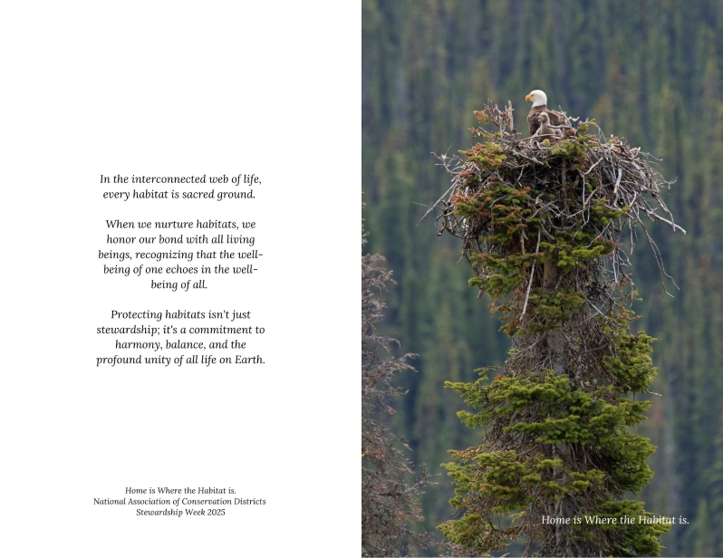 Product Description: No need to add this to your cart! Just read instructions and click the live link below for your booklets. </br></br>Customizable Blank Booklets - several to choose from or create your own using this template.</br>Perfect for Churches, Schools, and Marketing!</br></br>Print single-sided booklets with completely customizable interiors using our Canva design template.</br></br>Easily create personalized programs, informational guides, or branded promotional materials.</br></br>Use this link:Blank Booklet Canva Template- must choose "Use Template in New Design" from link.</br></br>Click "Use Template" to open your new design in Canva.</br></br>Customize by adding your text, images, and branding elements.</br></br>Once finished, select "Share", then choose "Download" and select "PDF Print" for professional-quality printing.</br></br>Design made easy—create and customize today!</br> 2025 Blank Booklets Customizable Template