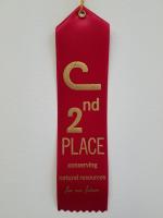 Red 2nd Place Ribbons (Set of 10)